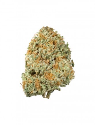 Hybrid Strain Cannabis