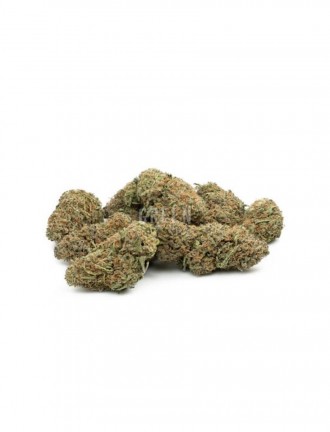 Indica Dominant Hybrid