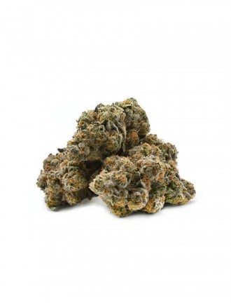 Northern Lights Strain